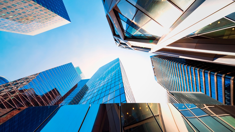 Large Enterprises